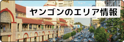 エリア情報